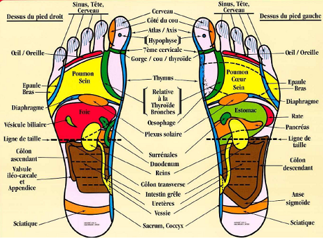 carte rflexologie